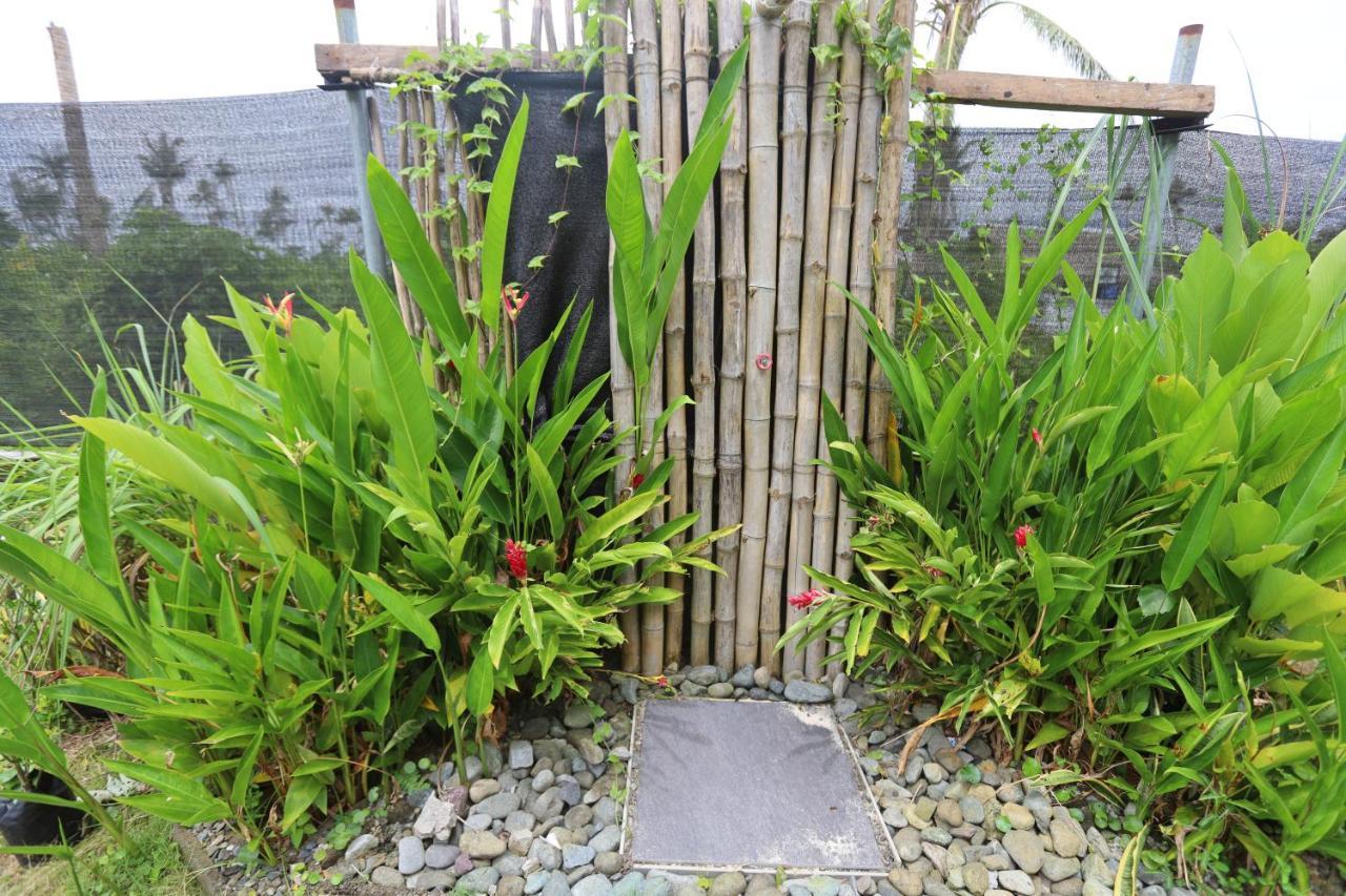 Lafinca Hostel Siargao San Isidro  المظهر الخارجي الصورة